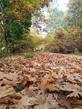 Yenice Hıdırlar  Köyü Resimleri 7