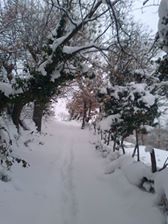 Yenice Kabalı Köyü Resimleri 1