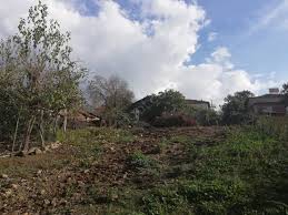 Yenice Kabalı Köyü Resimleri 2