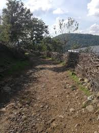 Yenice Kabalı Köyü Resimleri 5