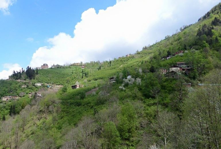 Arsin Üçpınar Köyü Resimleri 16