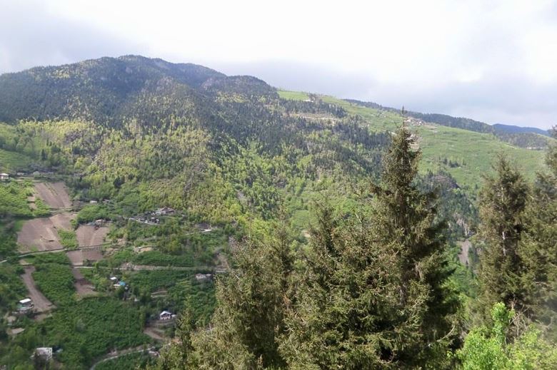 Arsin Üçpınar Köyü Resimleri 17