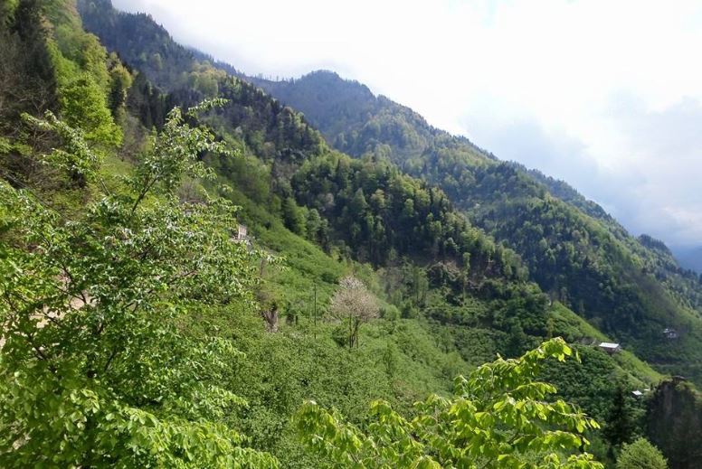 Arsin Üçpınar Köyü Resimleri 18