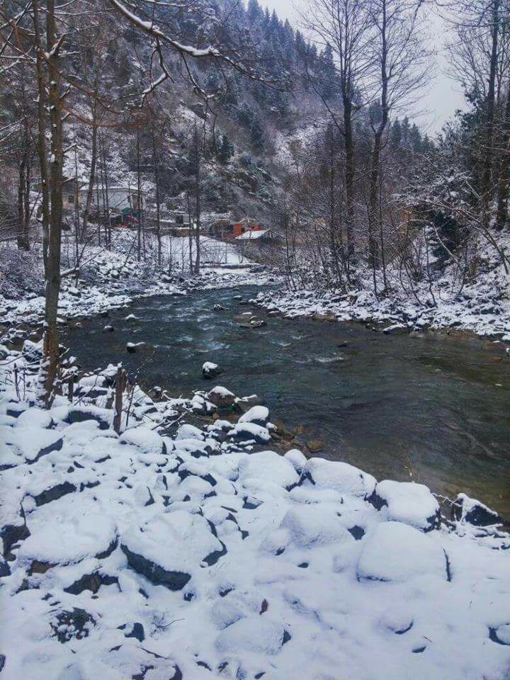 Arsin Üçpınar Köyü Resimleri 2