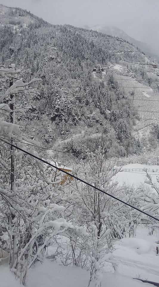 Arsin Üçpınar Köyü Resimleri 21