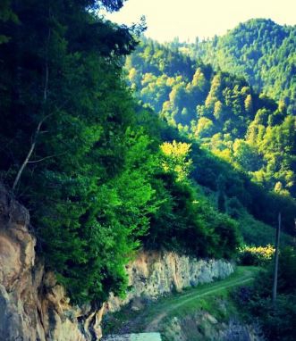 Arsin Üçpınar Köyü Resimleri 4