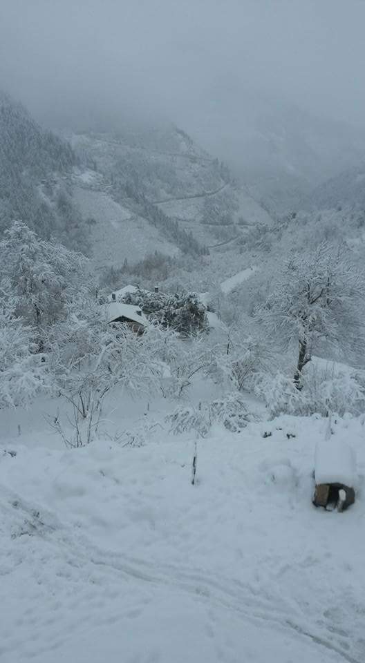 Arsin Üçpınar Köyü Resimleri 6