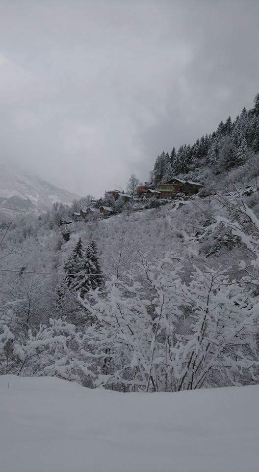 Arsin Üçpınar Köyü Resimleri 7