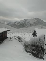 Yenice Karasu  Köyü Resimleri 3