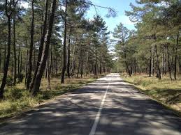 Yenice Kargacı Köyü Resimleri 7