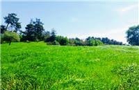 Yenice Kıraçoba Köyü Resimleri 2