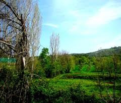 Yenice Kırıklar  Köyü Resimleri 1