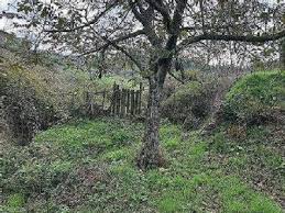 Yenice Kırıklar  Köyü Resimleri 5