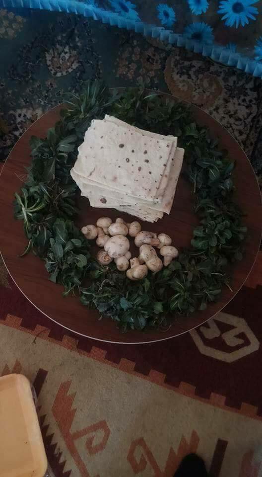 Mantar Zamanı 2017 10