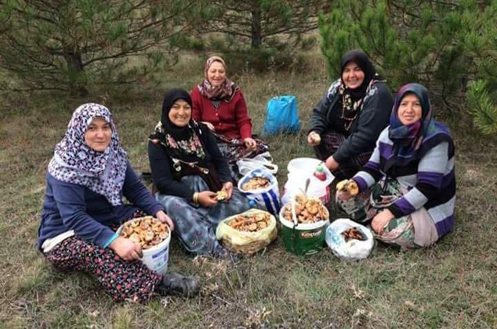 Mantar Zamanı 2017 24