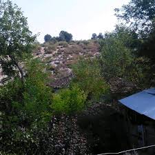 Yenice Kuzupınarı  Köyü Resimleri 2