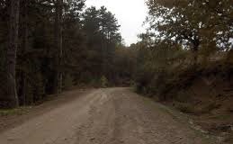 Yenice Oğlanalanı Köyü Resimleri 1