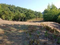 Yenice Öğmen Köyü Resimleri 6