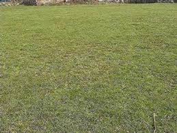 Yenice Reşadiye  Köyü Resimleri 6