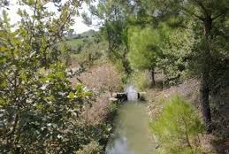 Yenice Sameteli  Köyü Resimleri 6