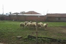 Yenice Sameteli  Köyü Resimleri 8