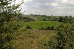 Yenice Sameteli  Köyü Resimleri 9