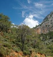 Yenice Sazak  Köyü Resimleri 3