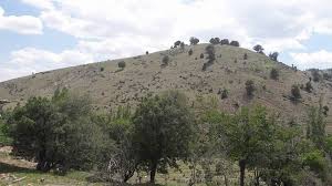 Yenice Sazak  Köyü Resimleri 7