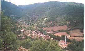 Yenice Sazak  Köyü Resimleri 9