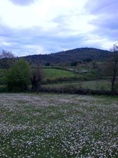 Yenice Seyvan Köyü Resimleri 5