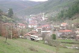 Yenice Seyvan Köyü Resimleri 7