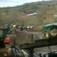 Yenice Sofular  Köyü Resimleri 11