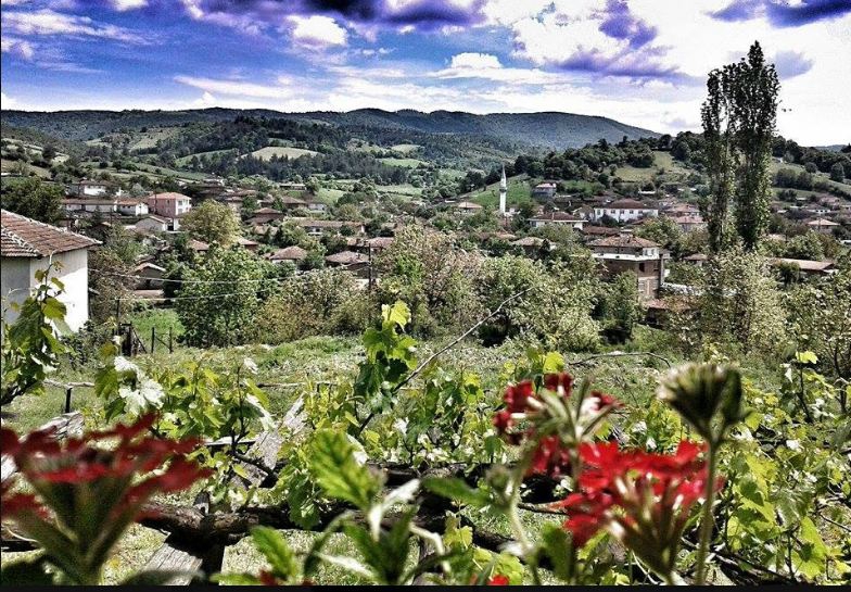 Yenice Sofular  Köyü Resimleri 30