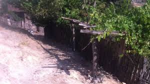 Yenice Soğucak  Köyü Resimleri 5