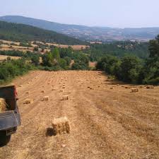 Yenice Soğucak  Köyü Resimleri 9