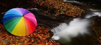 Yenice Suuçtu  Köyü Resimleri 2