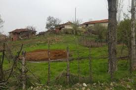 Yenice Suuçtu  Köyü Resimleri 6