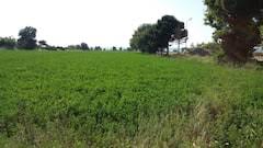 Yenice Suuçtu  Köyü Resimleri 7