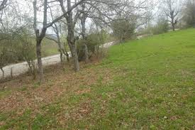 Yenice Suuçtu  Köyü Resimleri 9