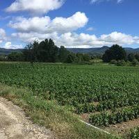 Yenice Üçkabaağaç  Köyü Resimleri 5