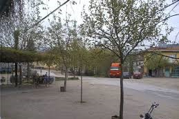 Yenice Üçkabaağaç  Köyü Resimleri 6