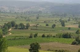 Yenice Yağdıran  Köyü Resimleri 10