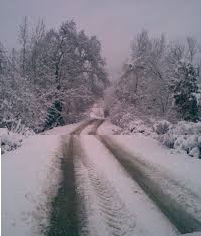 Yenice Yağdıran  Köyü Resimleri 9