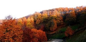 Yenice Yalıoba  Köyü Resimleri 7