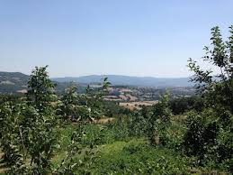 Yenice Yeşilköy  Köyü Resimleri 7