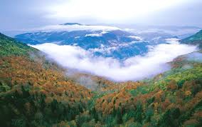 Yenice Yukarıinova  Köyü Resimleri 6