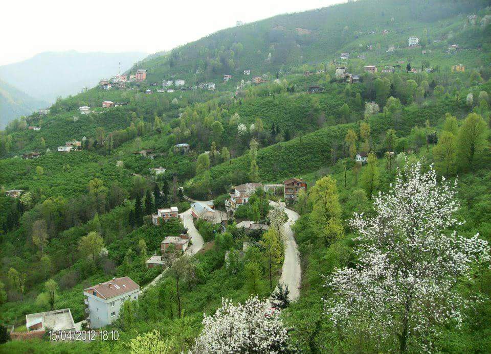 Arsin Yeşilköy Resimleri 1