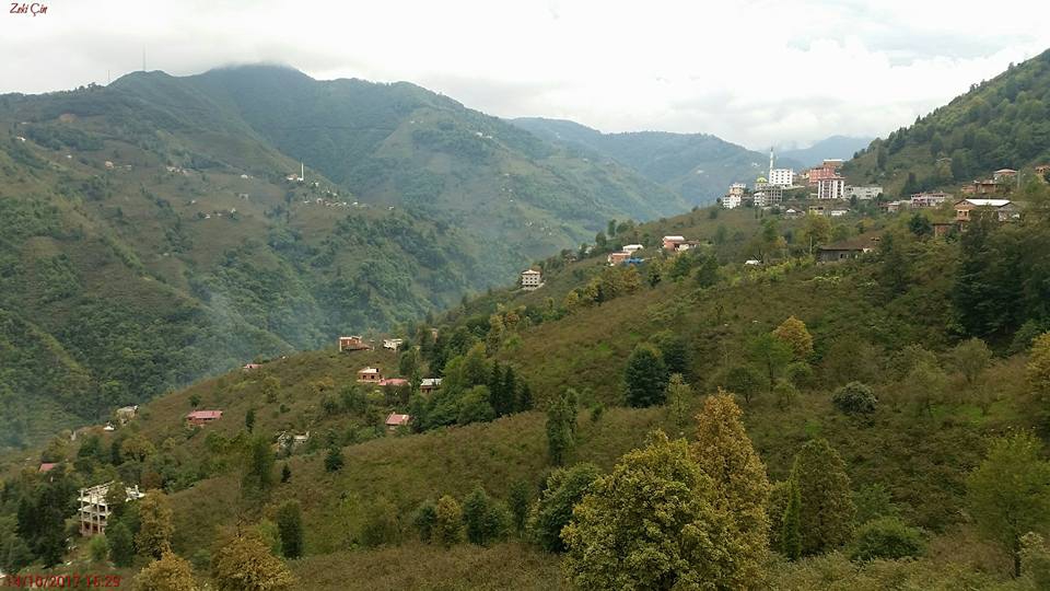 Arsin Yeşilköy Resimleri 10