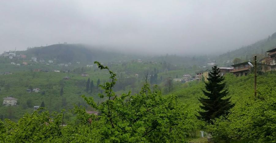 Arsin Yeşilköy Resimleri 14