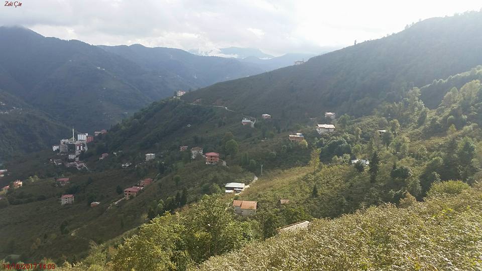 Arsin Yeşilköy Resimleri 17